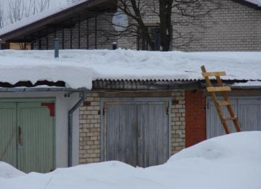 Autors: www.ziemellatvija.lv