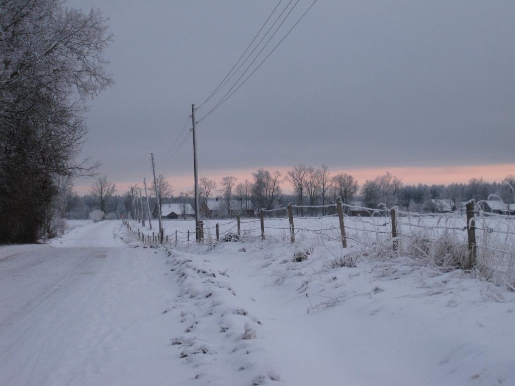 Autors: Gatis Bogdanovs (no arhīva)