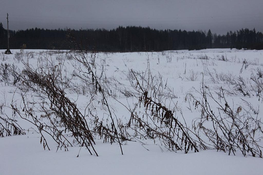 Autors: Gatis Bogdanovs 