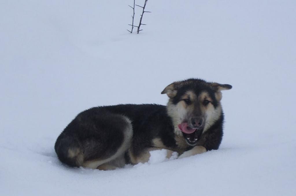 Autors: Foto: Mārtiņš Didrihsons – Linards - Nuka