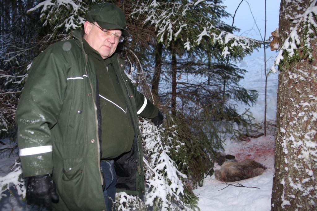 Pēc sākotnējās apskates šķita, ka stirna ir nelikumīgi nomedīta un tās atliekas izmestas. Laimonis Kļaviņš atklāj, ka pēc sīkākas izpētes tomēr secināts, ka dzīvnieks ir notriekts.
Autors: Gatis Bogdanovs 