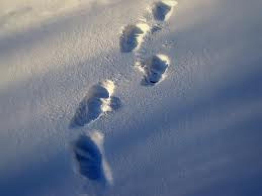 Autors: No interneta.