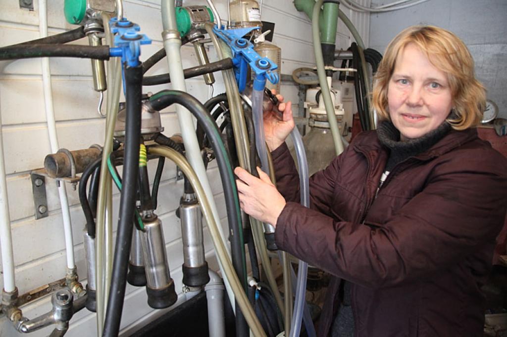 Līgo pagasta zemniece Valda Āboliņa, kurai ir zootehniķes izglītība, ir izbaudījusi visas lauksaimnieka ikdienas labās un sliktās puses. “Šodien nevienam nenovēlu cīnīties tā, kā šodien laukos cīnās mazās zemnieku saimniecības, jo nav stabilitātes un skaidrības par nākotni,” saka Valda.
Autors: Gatis Bogdanovs 