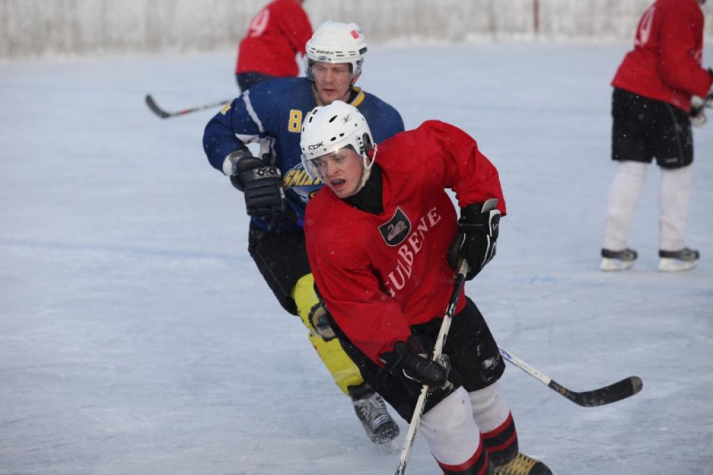 Autors: Gatis Bogdanovs