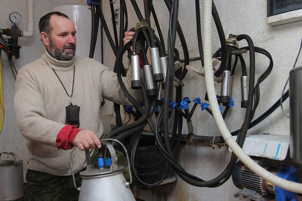 “Kolhoza gados vairākus gadus strādāju par agronomu. Ir iegūta arī juridiskā izglītība, tāpēc šodien SIA  “AG Ezernieki” govis slaucot “agronoms ar augstāko juridisko izglītību”, saka druvēnietis Andris Graumanis.
Autors: Gatis Bogdanovs
