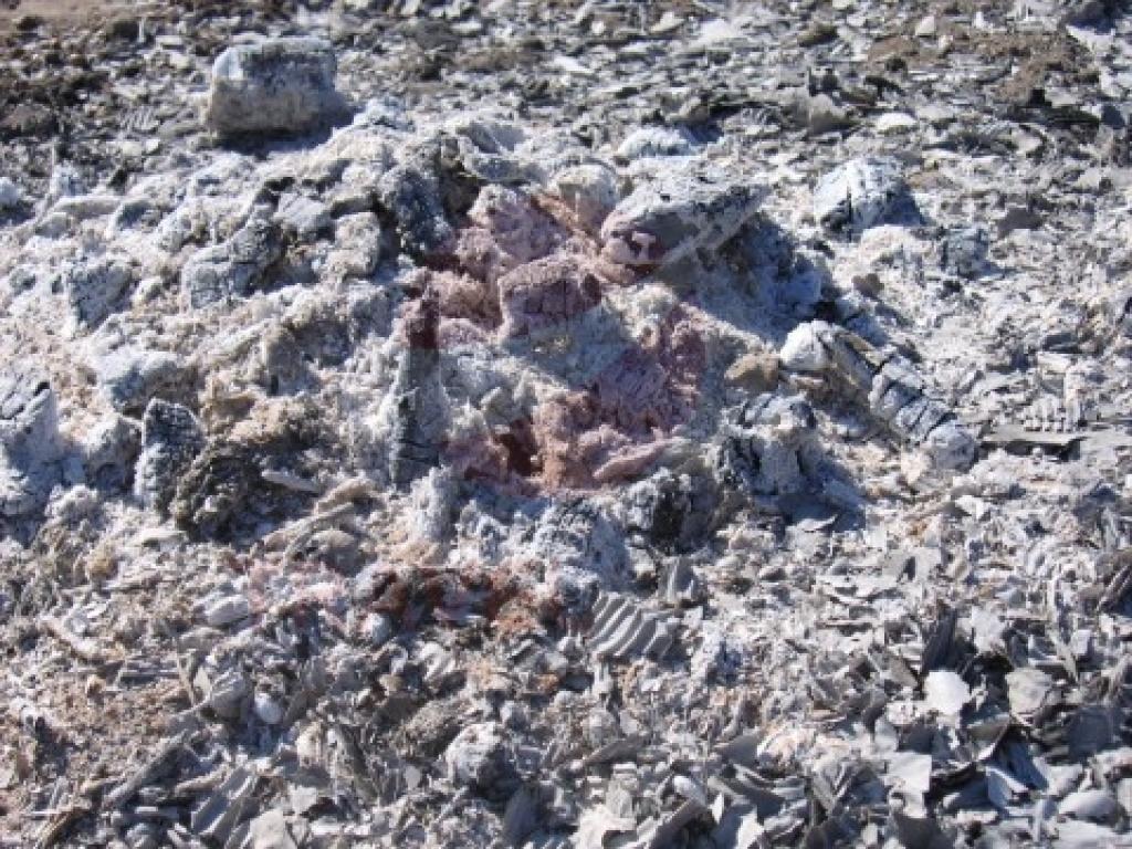 Autors: www.trawelnet.lv