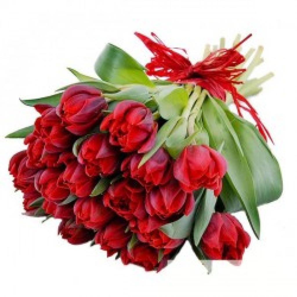 Autors: No interneta.