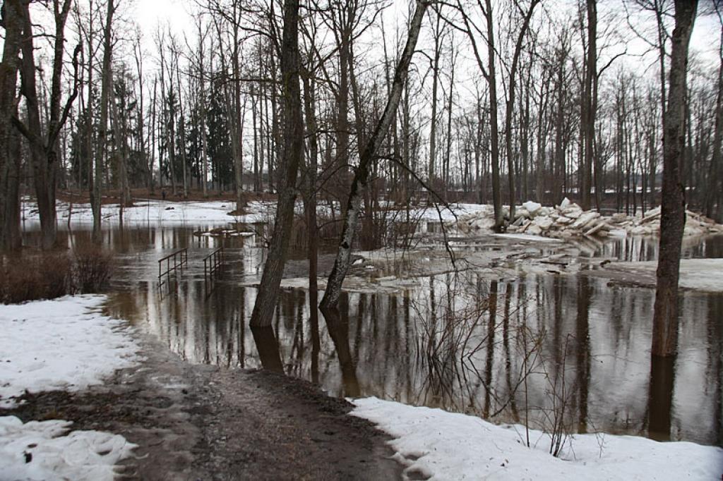 Autors: Gatis Bogdanovs (no arhīva)