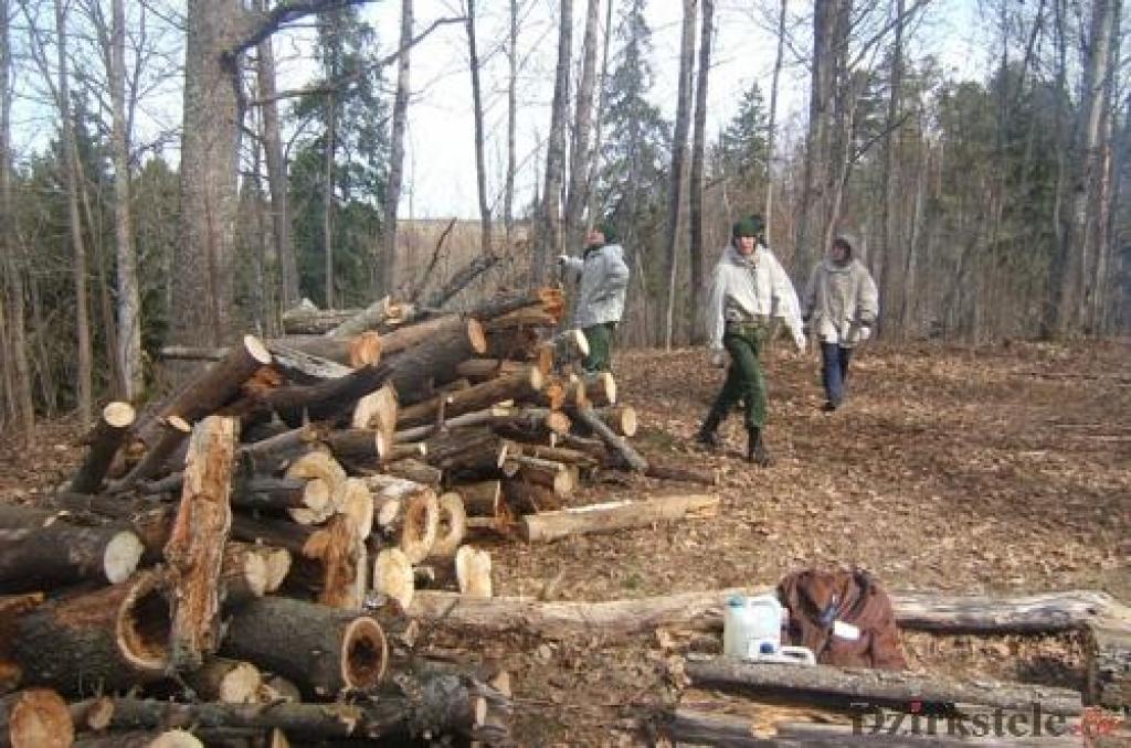 Jaunsargi
Autors: No personiskā albuma.