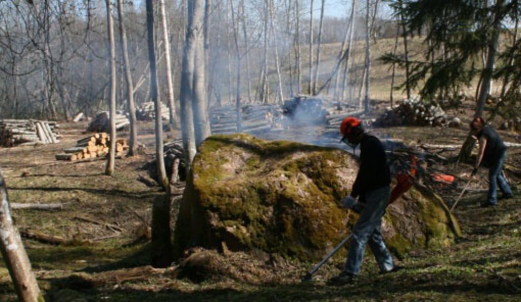 Lejasciemā sakopj Paideru dižakmens apkārtni. 
Autors: No personiskā albuma