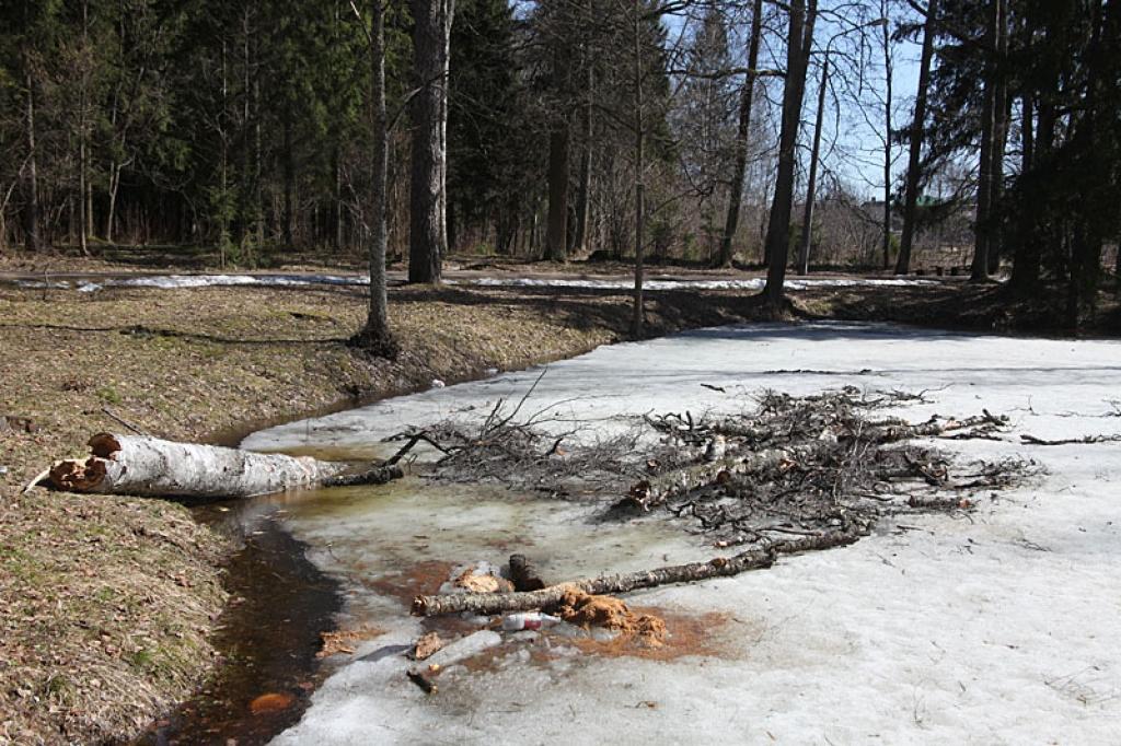 Gulbenieši uztraukti, ka Spārītes parka dīķi iekritušais koks bojā ainavu. Turklāt šī ir tradicionālā vieta Lieldienu svinēšanai.
Autors: Gatis Bogdanovs