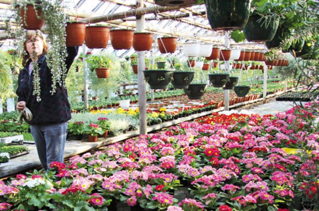 Autors: Agris Samcovs