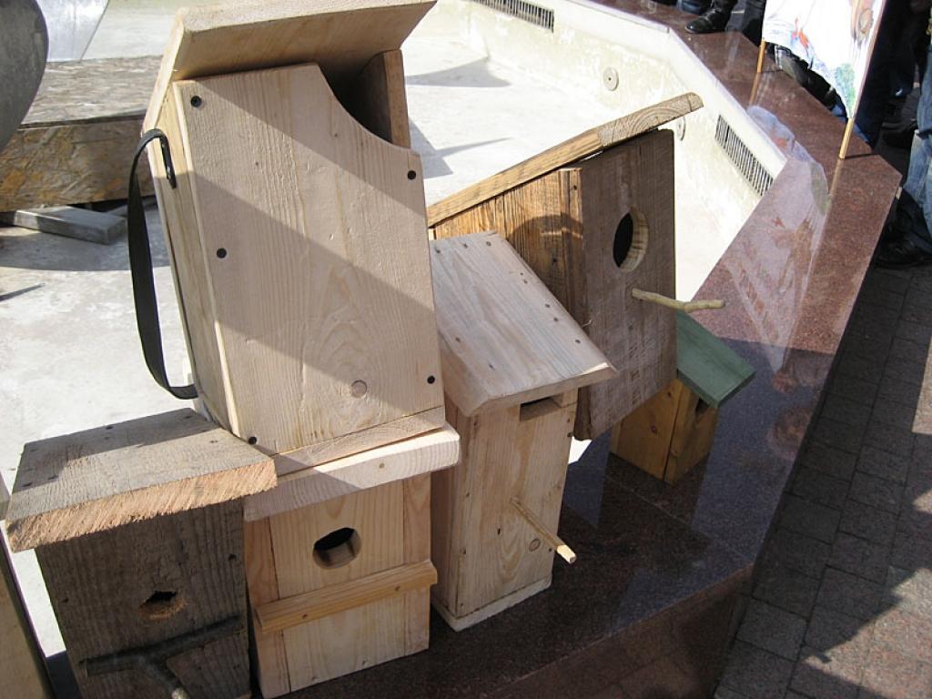 Autors: Diāna Odumiņa