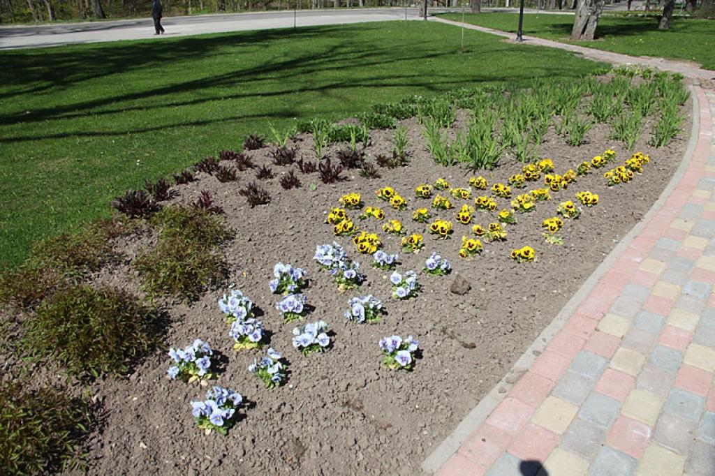 Autors: Gatis Bogdanovs