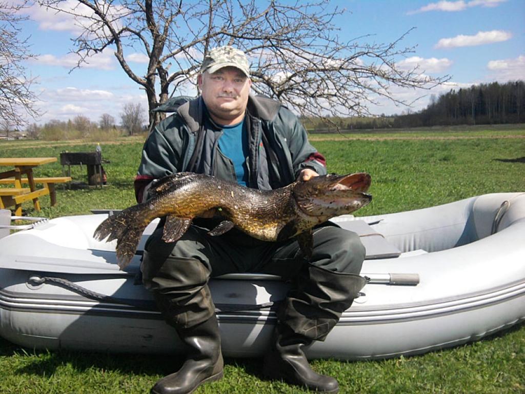 Anrijam Sirmajam šajā pavasarī pirmo reizi savā makšķernieka mūžā izdevies izmānīt no Ušura ezera dzīlēm 7,5 kilogramus smagu līdaku.
Autors: No personiskā albuma.