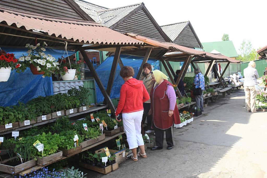 Autors: Pārsla Konrāde