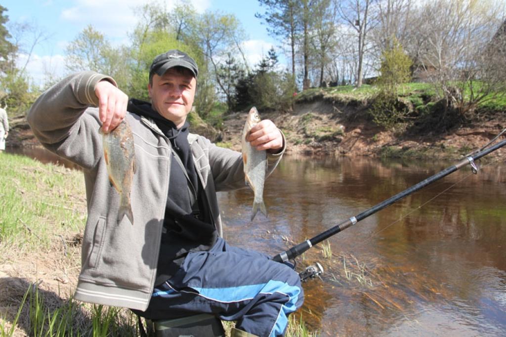 Autors: Gatis Bogdanovs