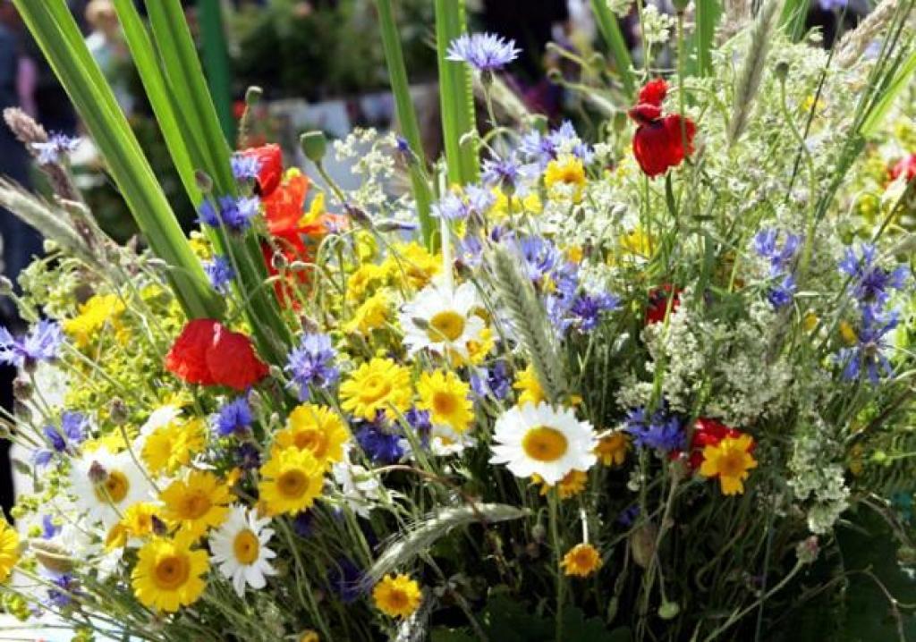 Autors: tavampriekam.yolasite.com