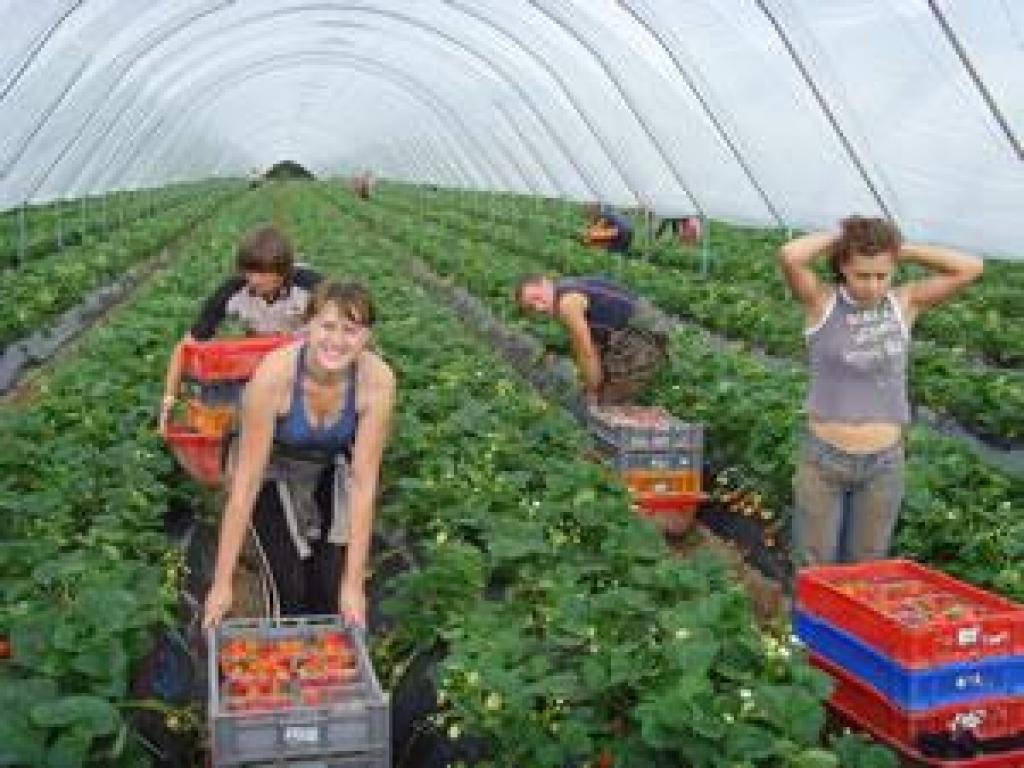 Autors: No interneta.