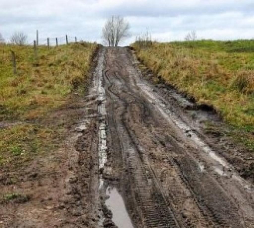 Autors: No interneta.