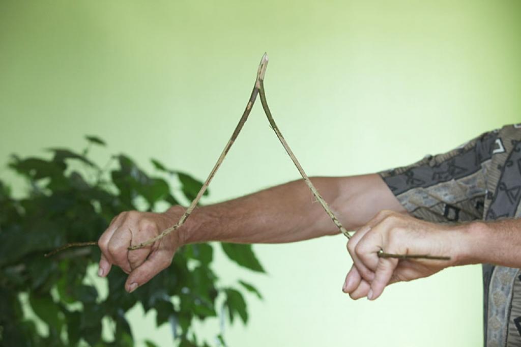 Autors: Gatis Bogdanovs