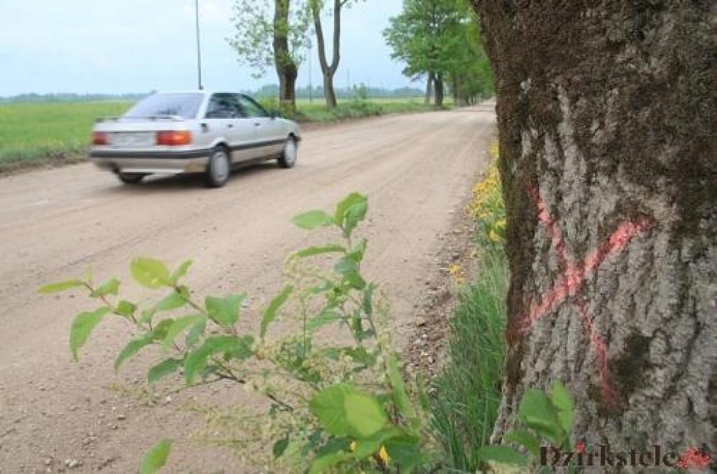 Autors: Gatis Bogdanovs 9no arhīva)