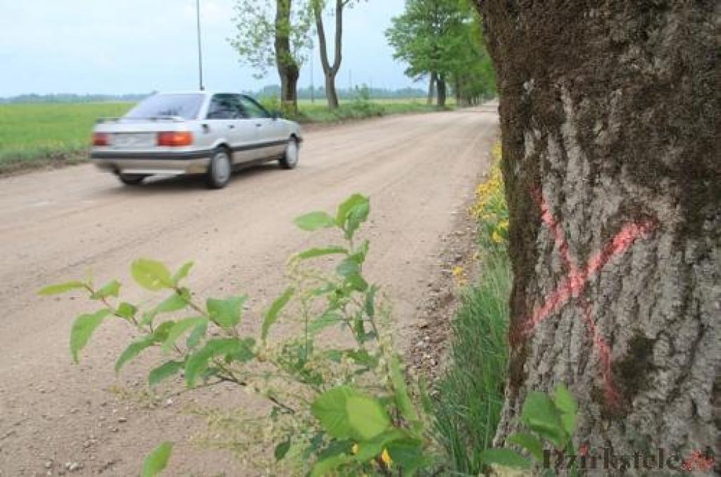 Autors: Gatis Bogdanovs 