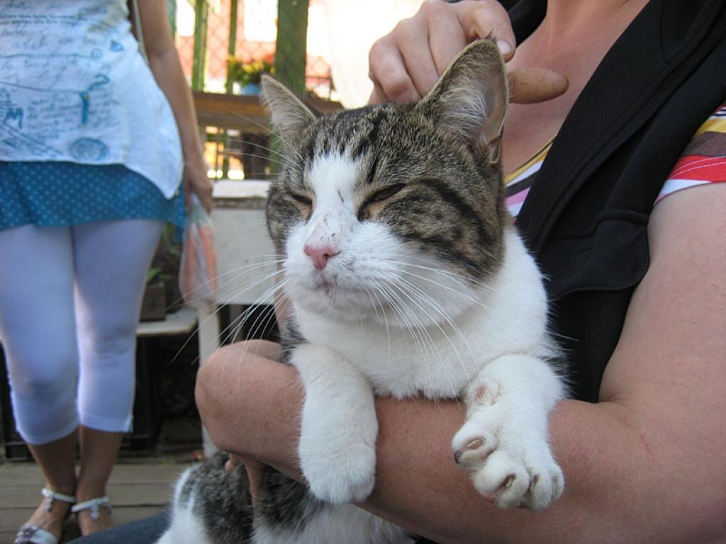 Autors: Diāna Odumiņa