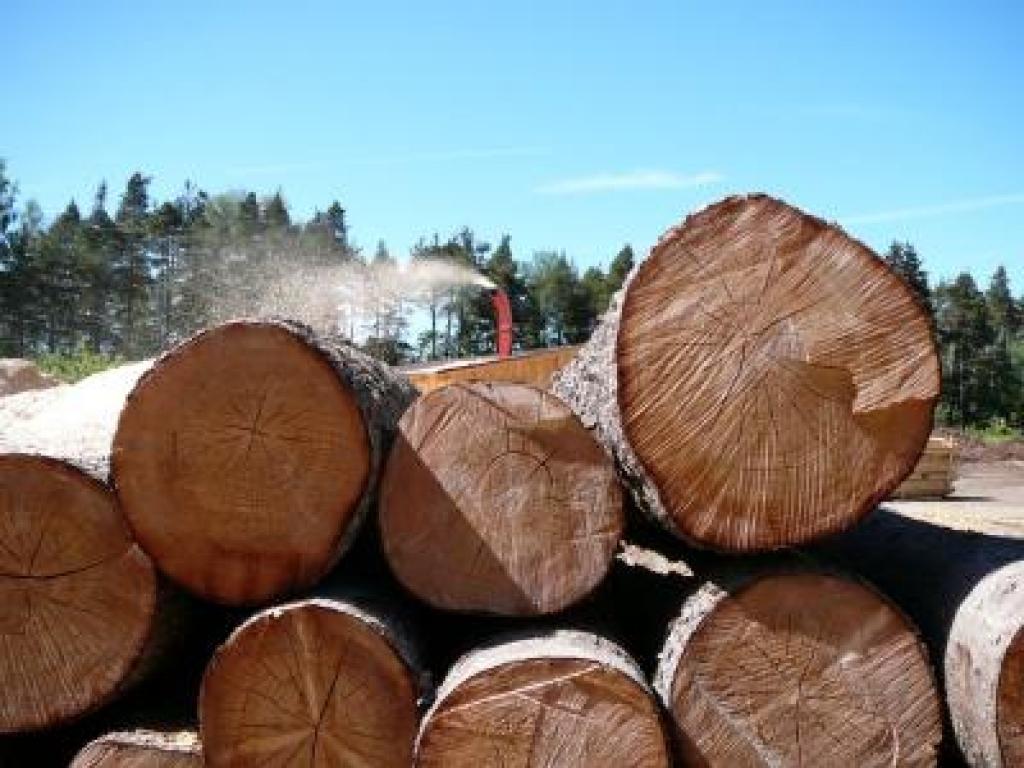 Autors: No interneta.