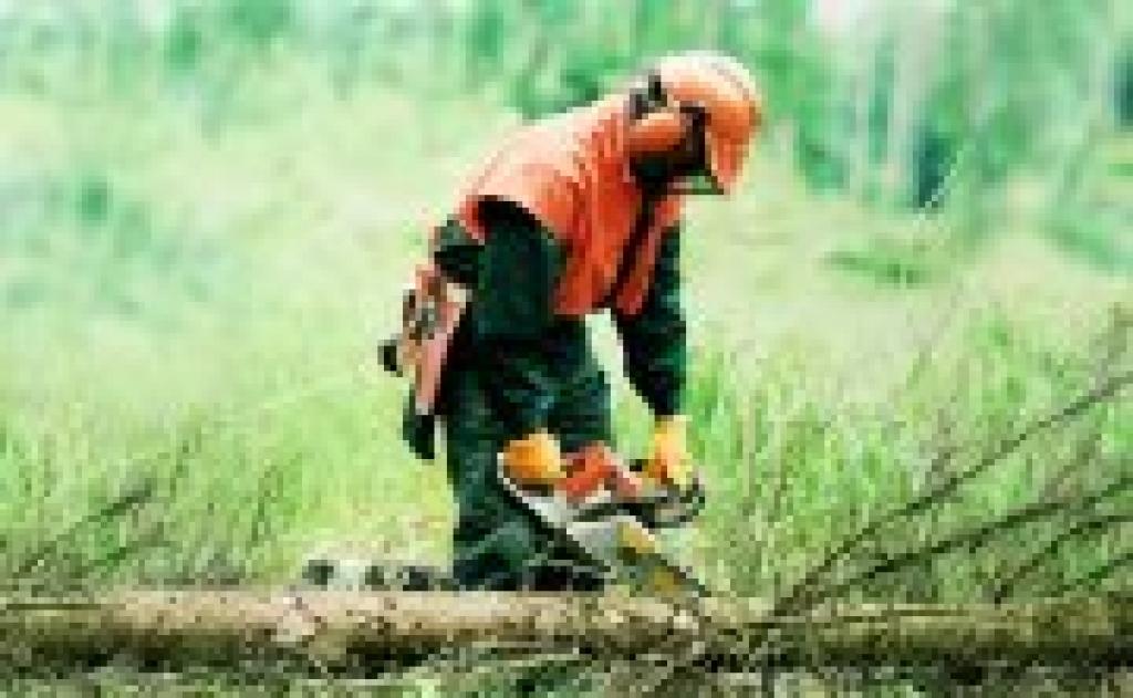 Autors: No interneta.