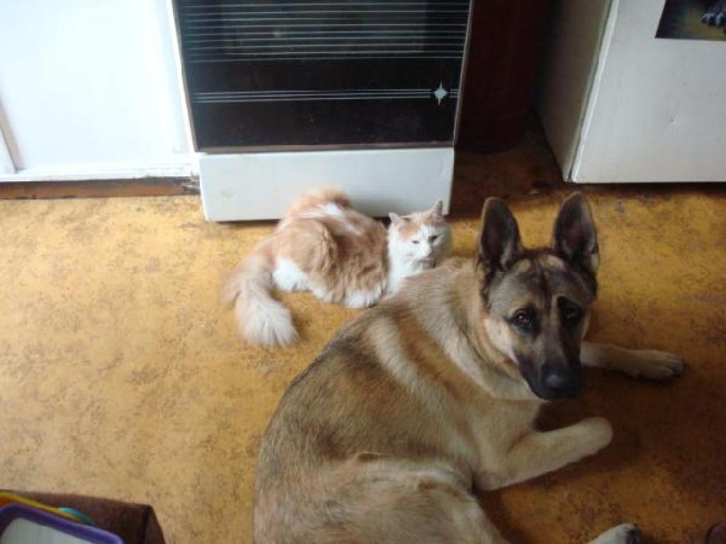 Autors: No interneta.