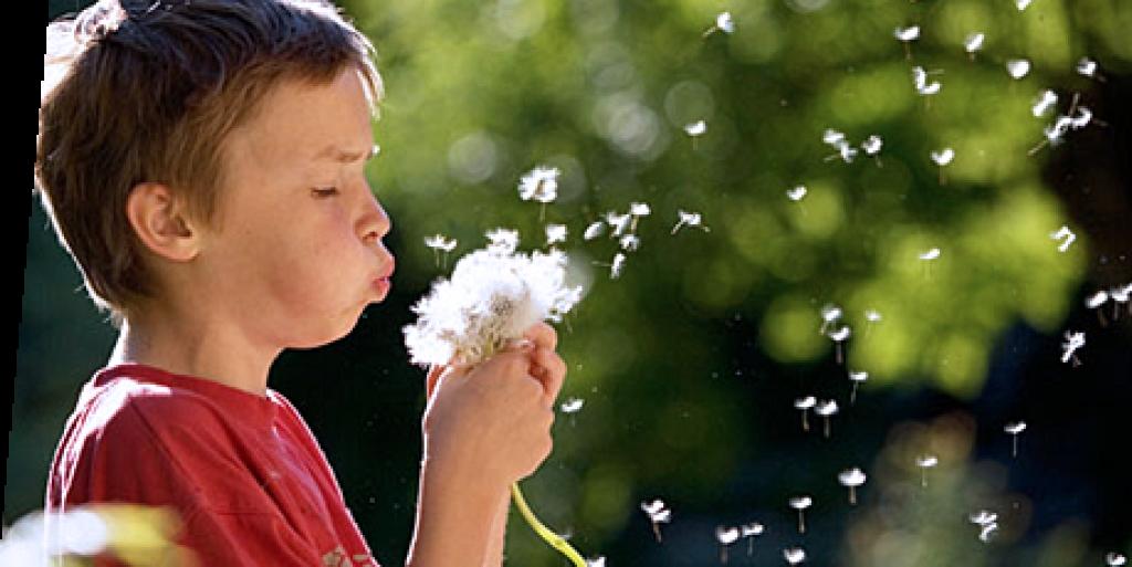 Autors: No interneta.