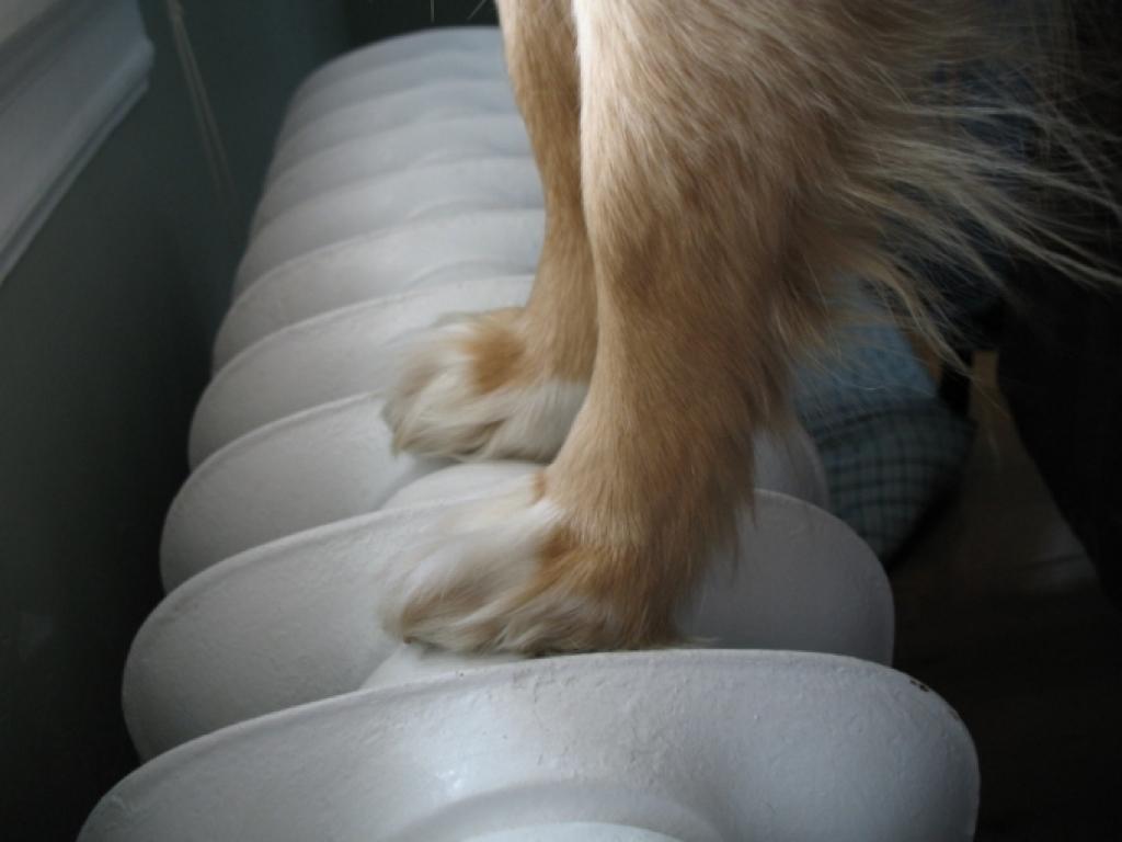 Autors: www.ventspilszinas.lv