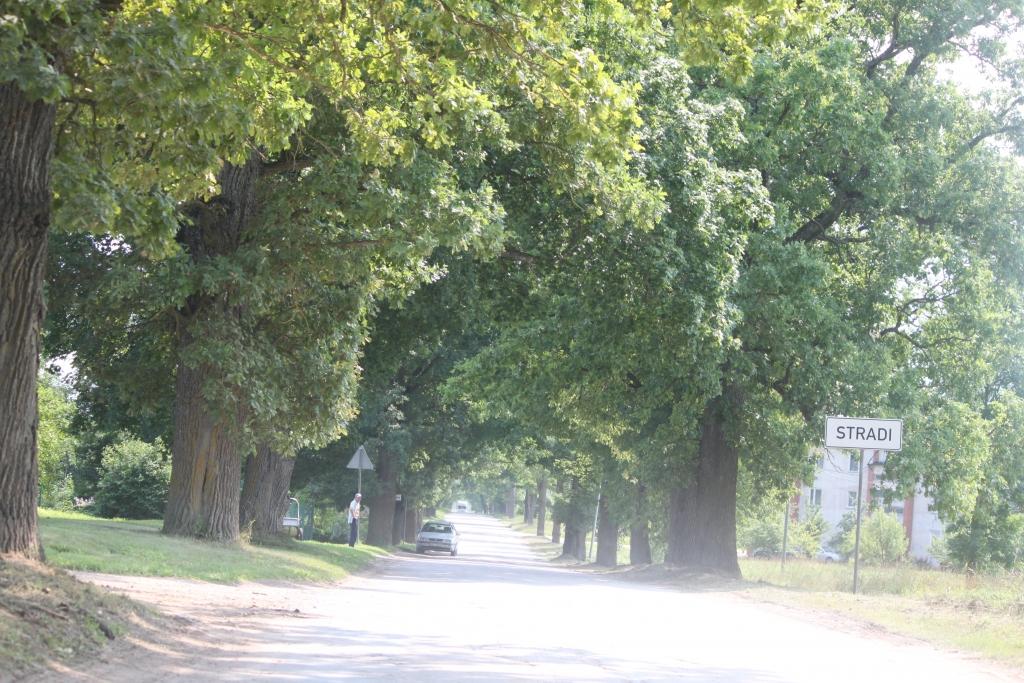 Autors: no personīgā albuma