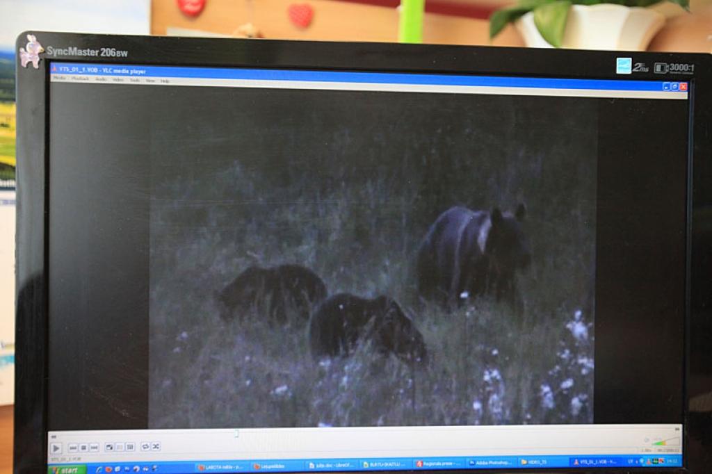 Autors: Gatis Bogdanovs 