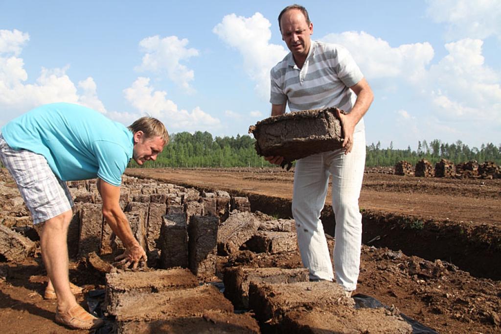 “Kaudžu” purva īpašnieki, rancēnieši Jānis Dūte un Māris Brants “Dzirkstelei” stāsta un rāda, kā tiek iegūta kūdra. Fotografēšanās brīdī viņi demonstrē, kā kūdras gabali tiek sakrauti apmēram viena kubikmetru lielā mājiņā, lai izžūtu.
Autors: Gatis Bogdanovs