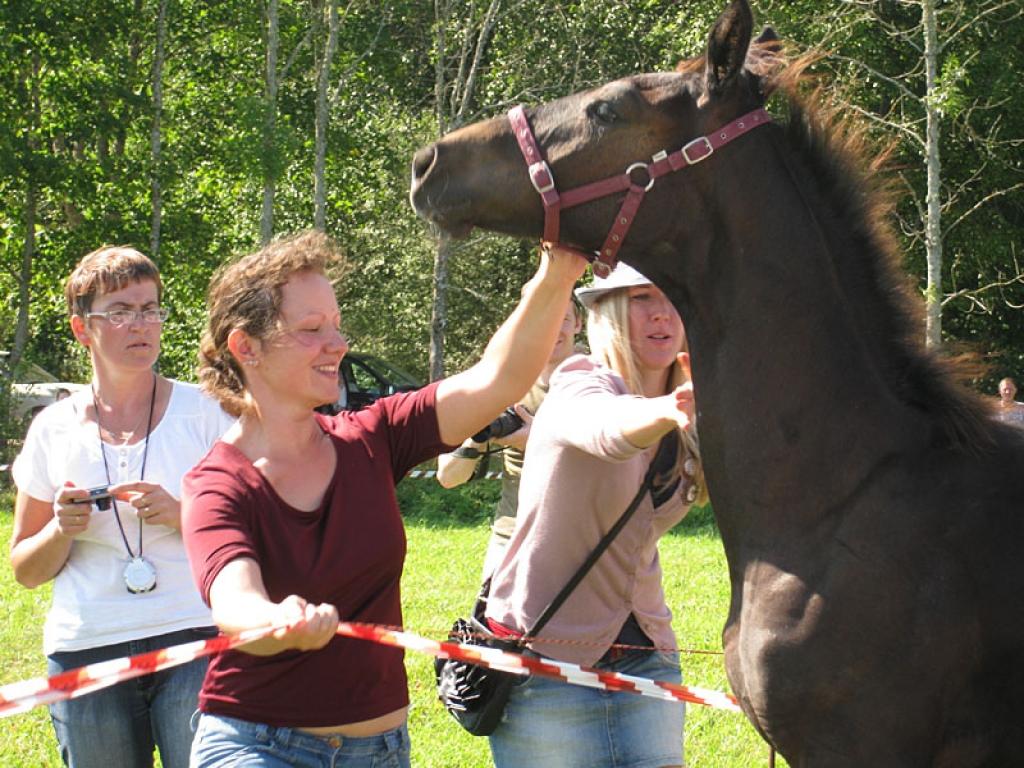 Autors: Inita Savicka