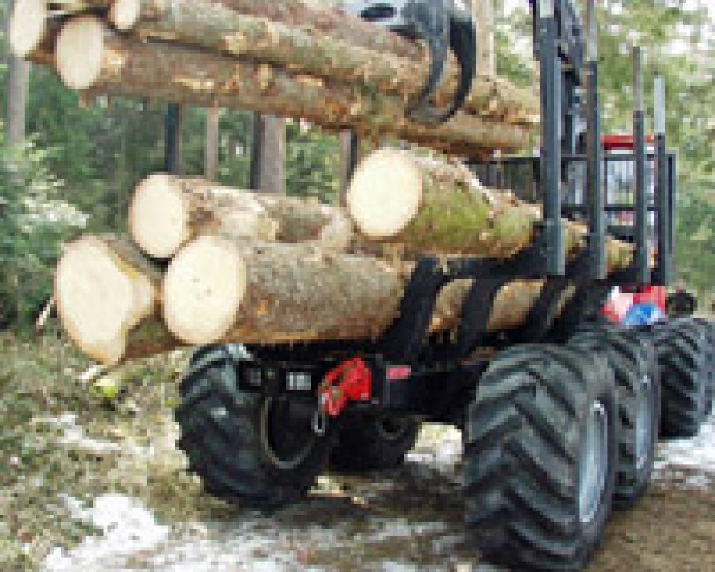 Autors: No interneta.