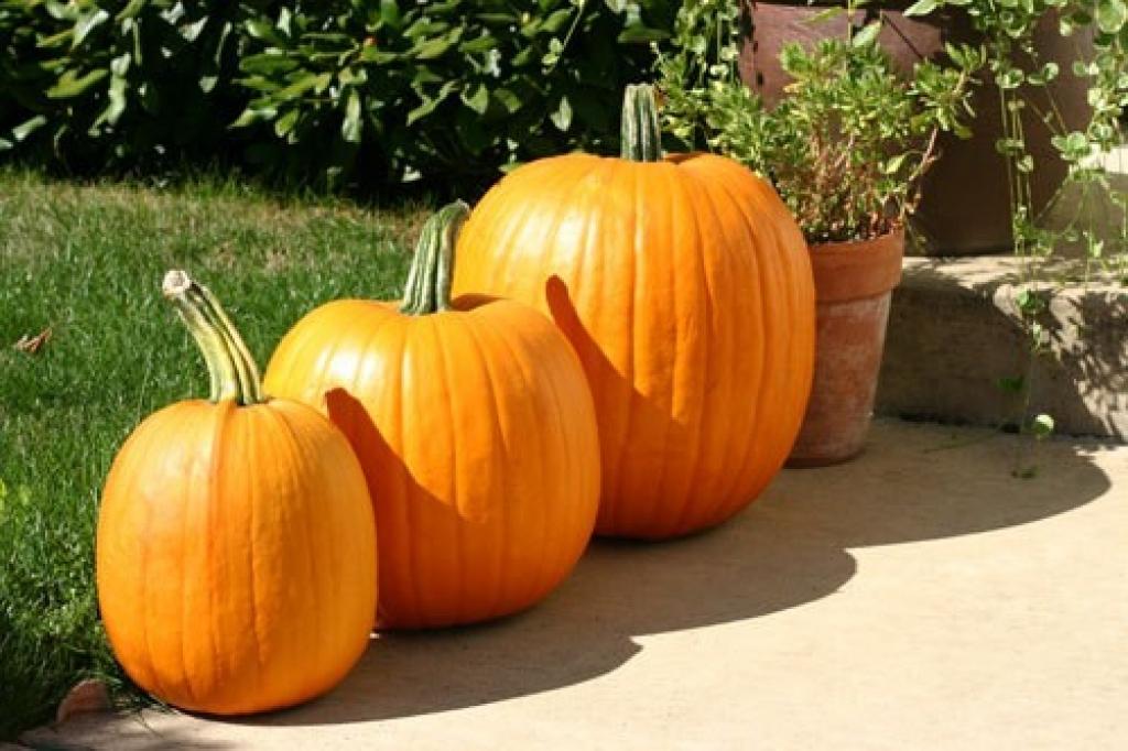 Autors: No interneta.