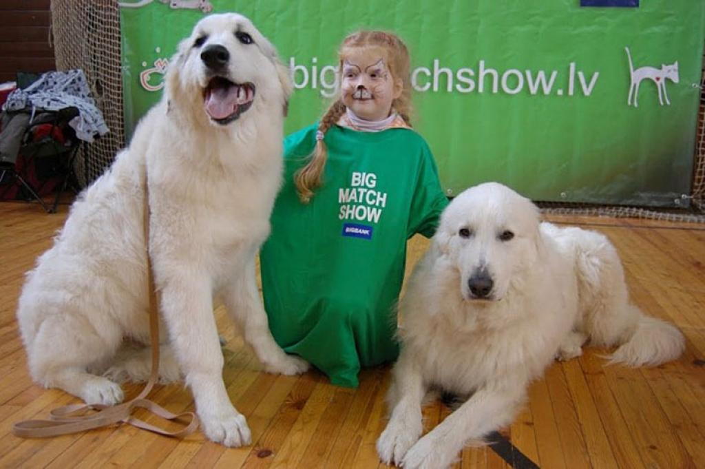 Autors: No personiskā albuma.