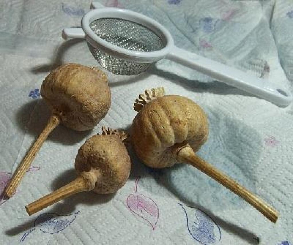 Autors: www.spoki.lv