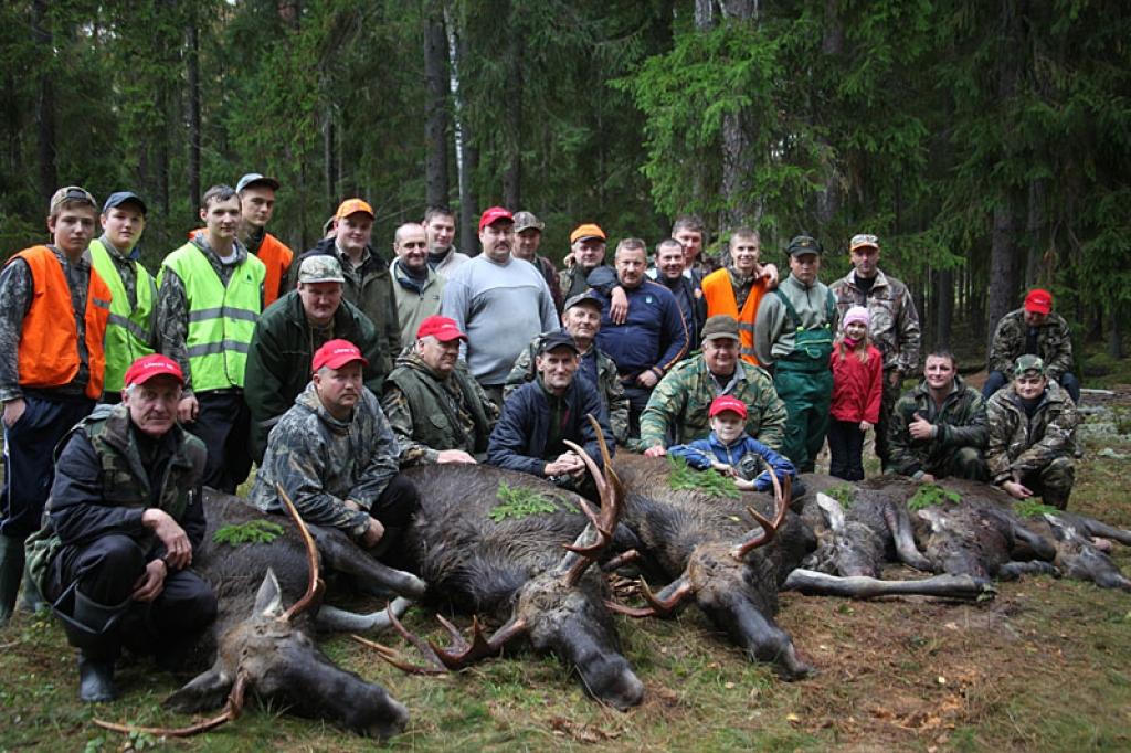 Autors: Gatis Bogdanovs