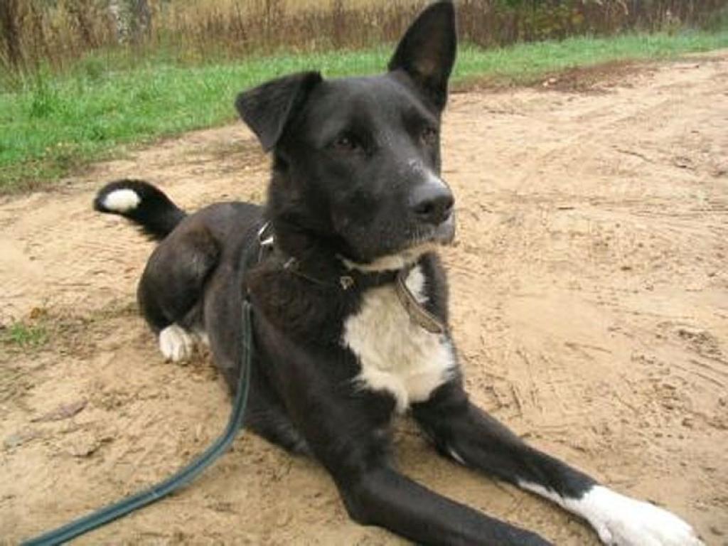 Autors: No interneta.