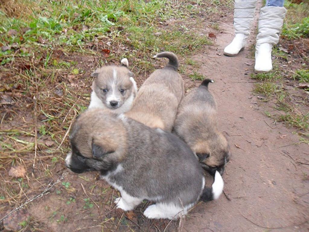 Autors: No personiskā albuma.