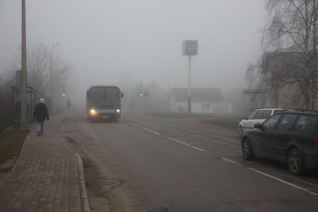 Autors: Gatis Bogdanovs