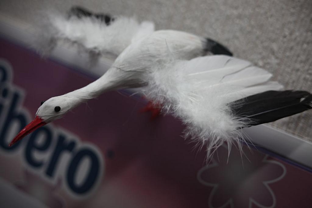 Autors: Gatis Bogdanovs