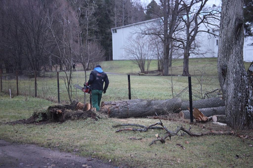 Autors: Gatis Bogdanovs