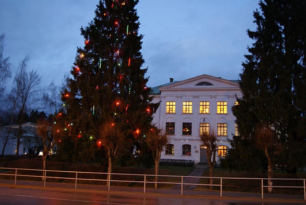 14.decembrī atkal bija pienācis laiks iemirdzēties Lielajai Skolas ielas eglei pie ģimnāzijas. 
Autors: No personiskā albuma.