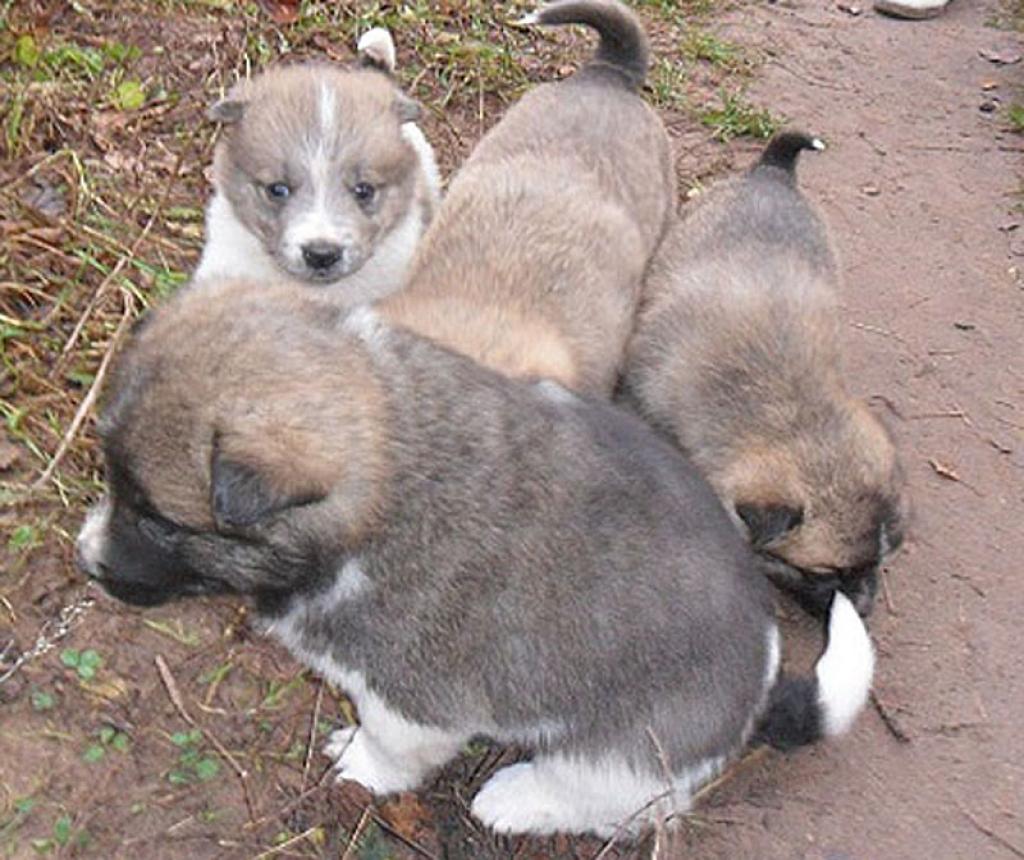 Autors: No personiskā albuma.