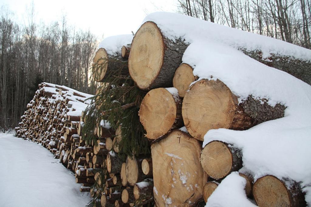 Autors: Gatis Bogdanovs